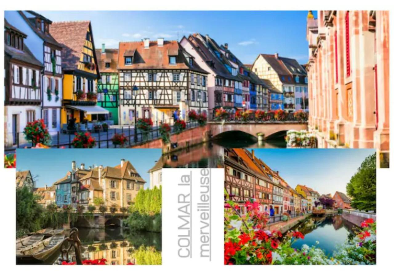 Thann Colmar - 1 Chambre - 5 Pers - Parking 외부 사진