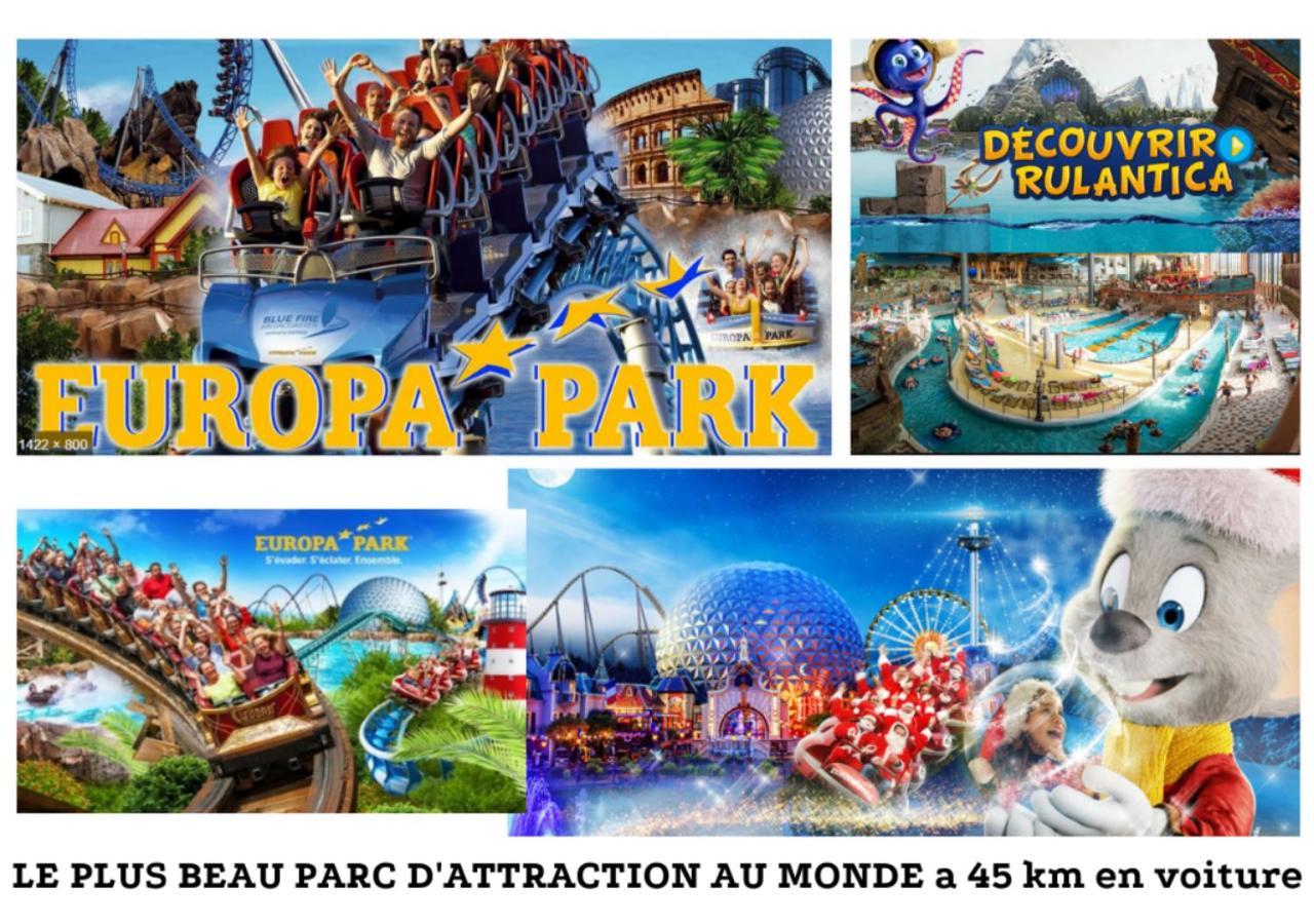 Thann Colmar - 1 Chambre - 5 Pers - Parking 외부 사진