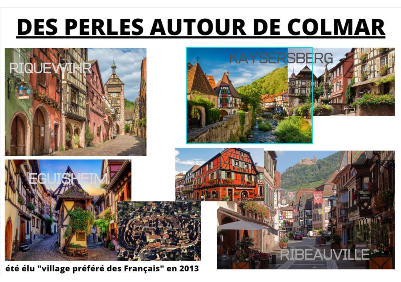 Thann Colmar - 1 Chambre - 5 Pers - Parking 외부 사진